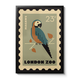 London Zoo Stamp collection print - Macaw
