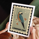 London Zoo Stamp collection print - Macaw